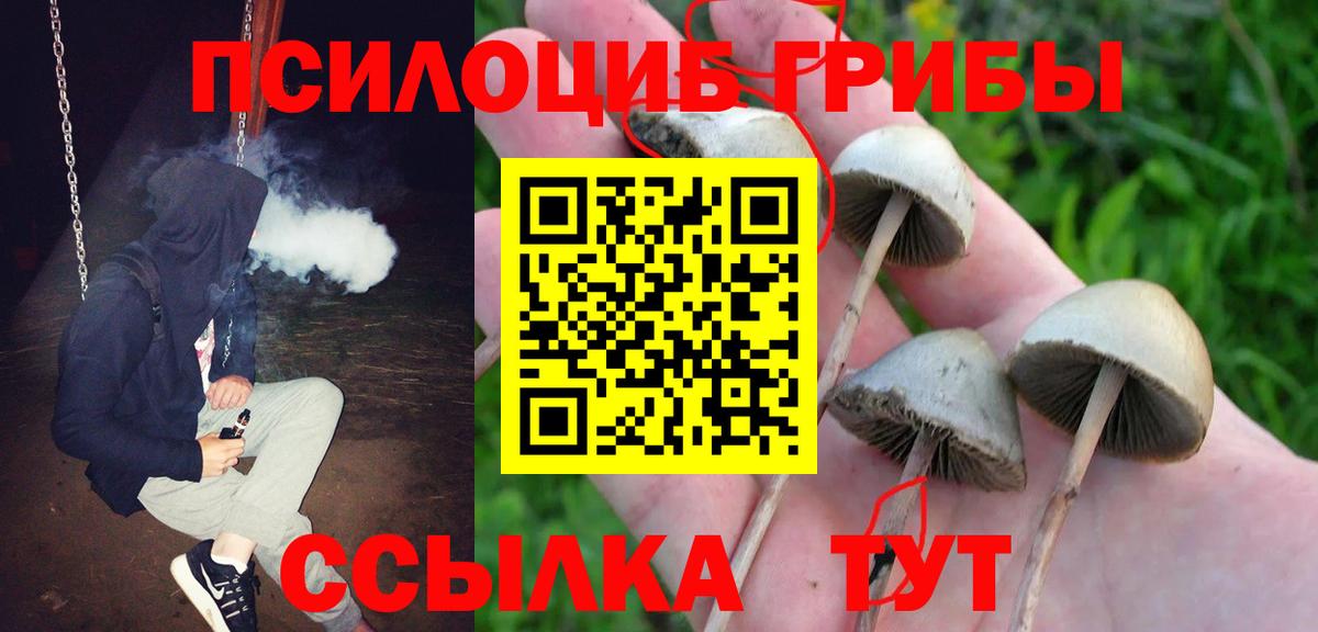 Псилоцибиновые грибы GOLDEN TEACHER  Псилоцибиновые грибы MAGIC MUSHROOMS  Ипатово  Вход с VPN 